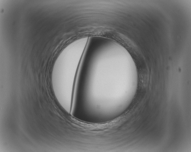 X0000085830035200703161041
