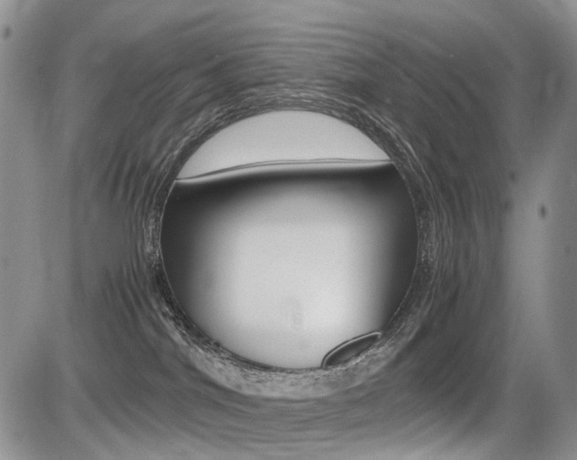 X0000085830044200703161041