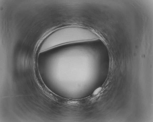 X0000085830055200703161040