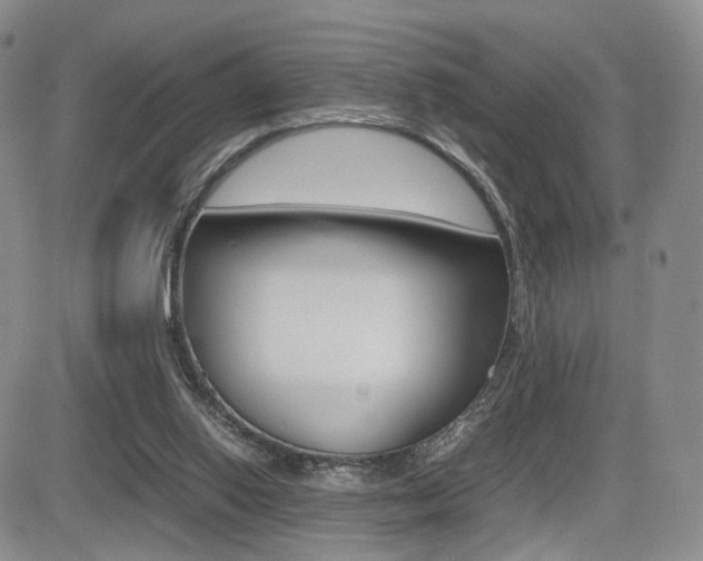 X0000085830062200703161040