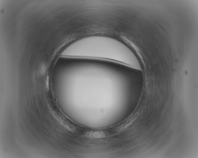 X0000085830067200703161040