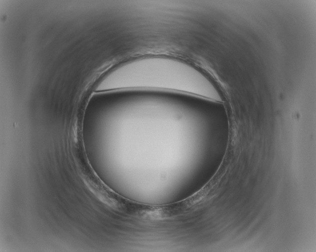 X0000085830068200703161040