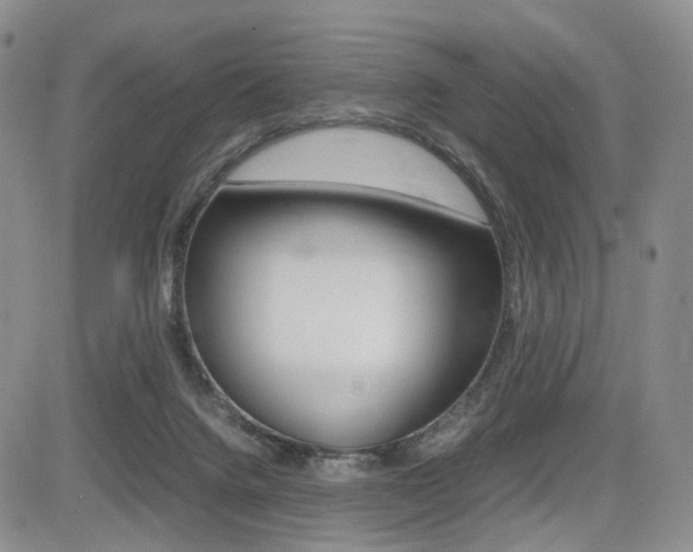 X0000085830072200703161040