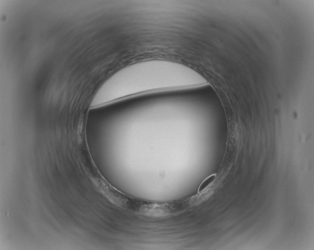 X0000085830082200703161041