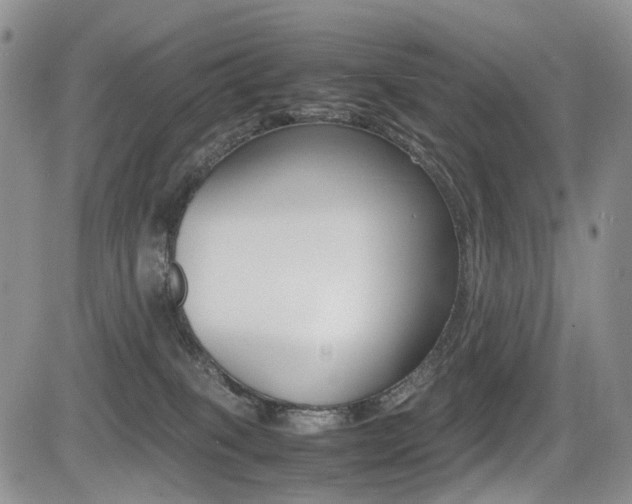 X0000085830085200703161041
