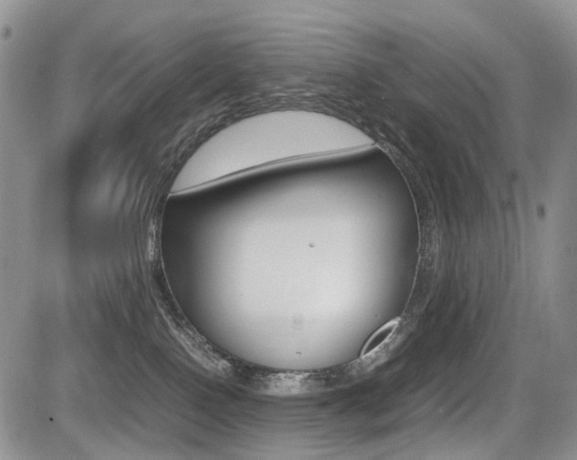 X0000085830090200703161041