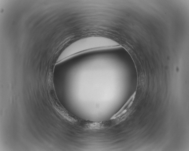 X0000085830092200703161041