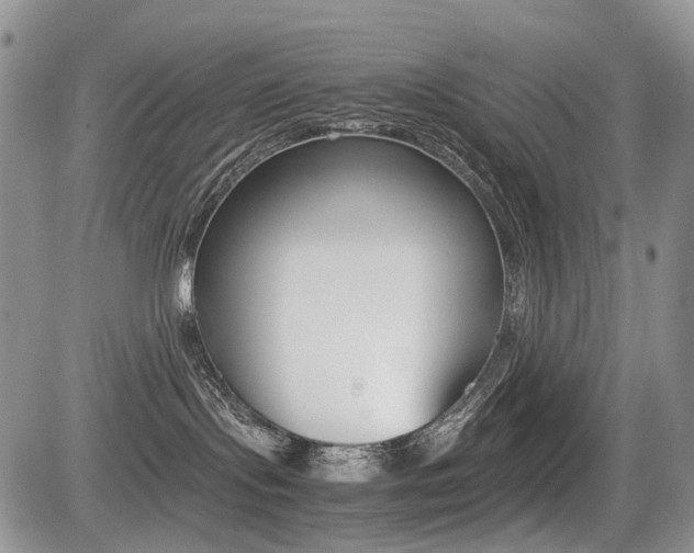 X0000085830095200703161041