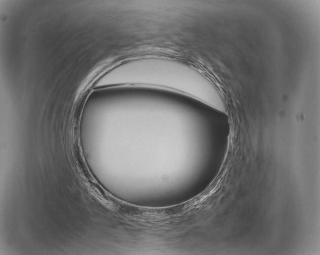 X0000085830101200703161040