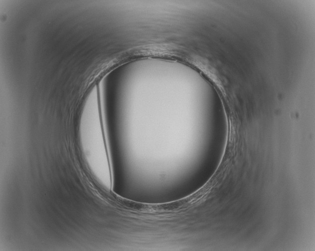X0000085830109200703161040