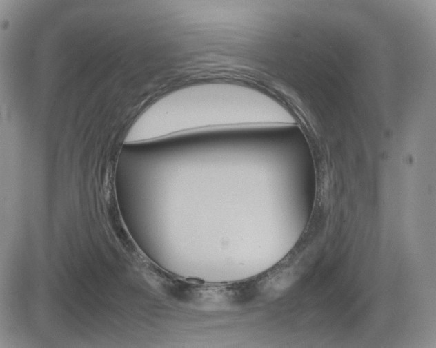 X0000085830121200703161040