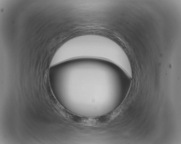 X0000085830125200703161040