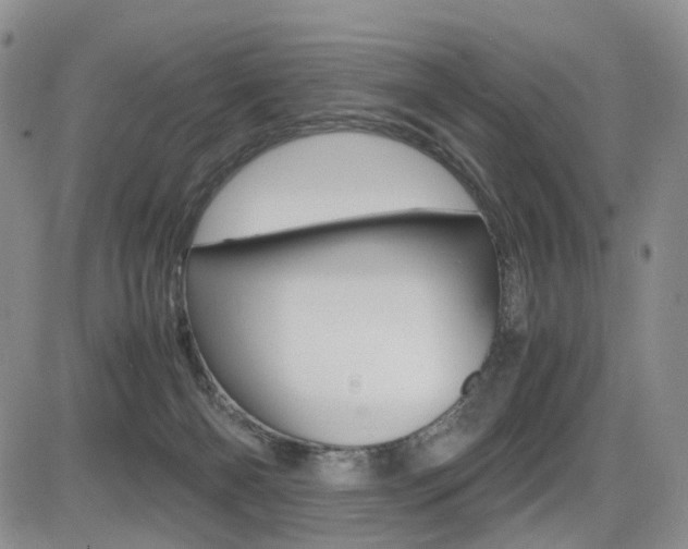 X0000085830126200703161040