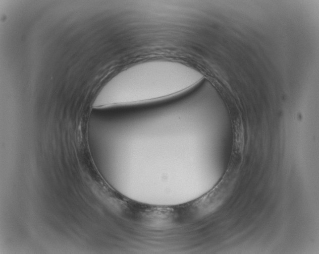 X0000085830128200703161040