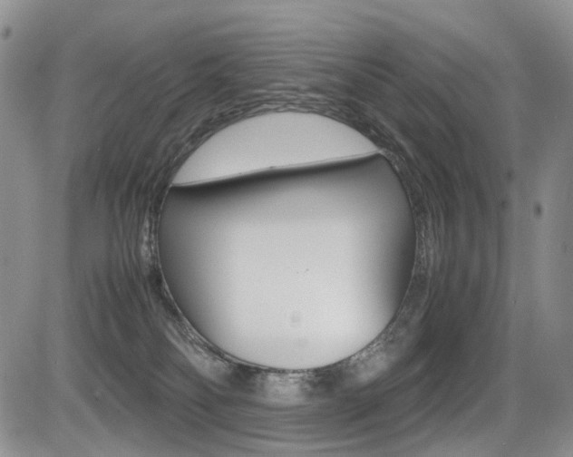 X0000085830134200703161039