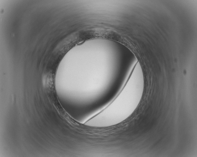 X0000085830137200703161039