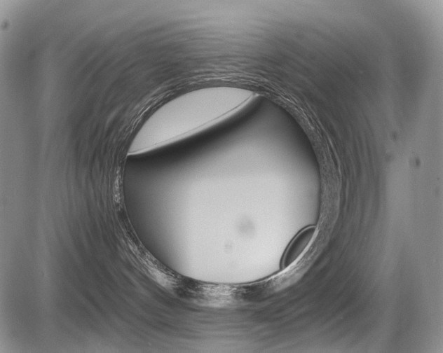 X0000085830144200703161039