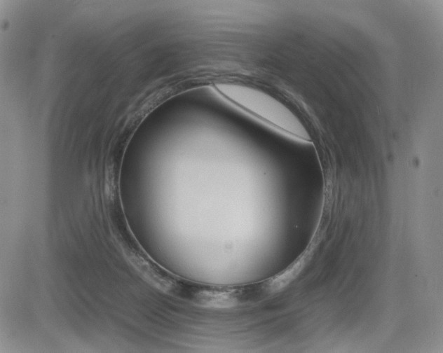 X0000085830170200703161039