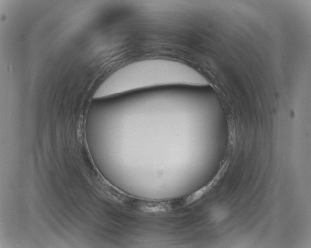 X0000085830175200703161039