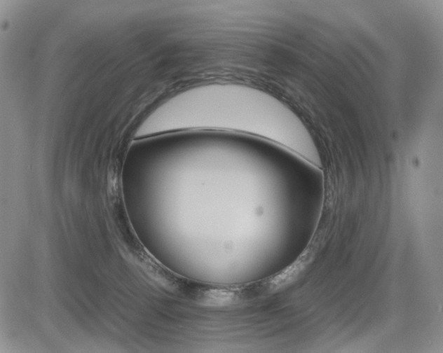 X0000085830176200703161039