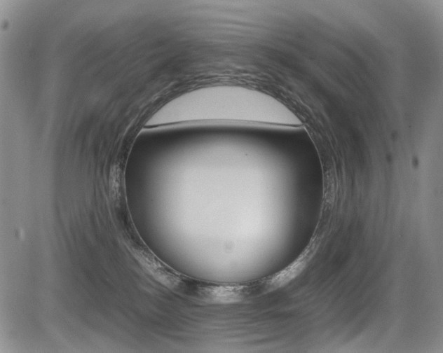 X0000085830184200703161039