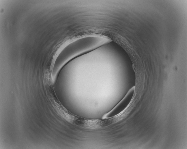 X0000085830192200703161039