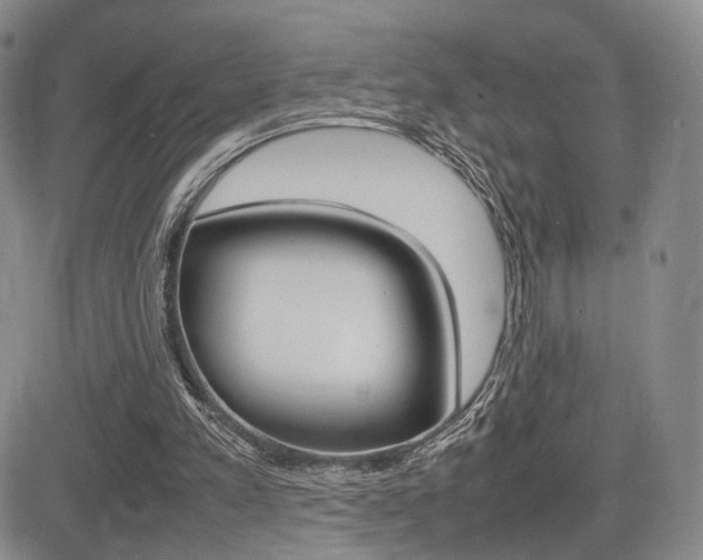 X0000085830197200703161038