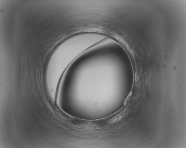 X0000085830201200703161038