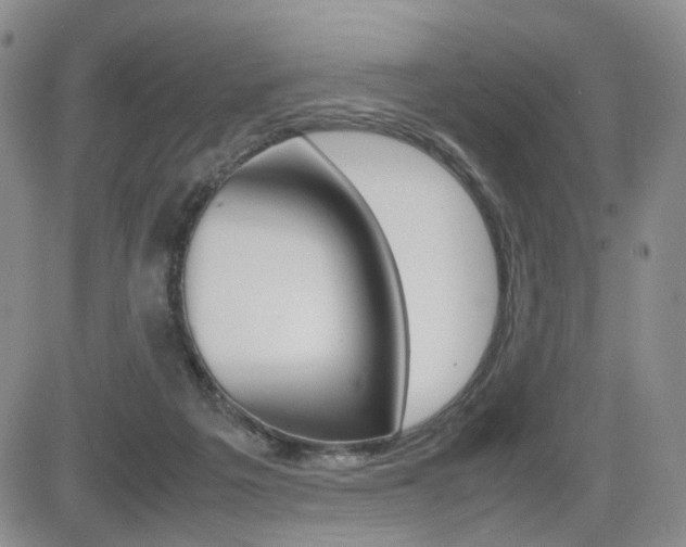 X0000085830217200703161038