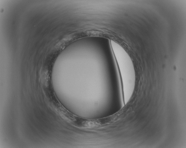 X0000085830223200703161038