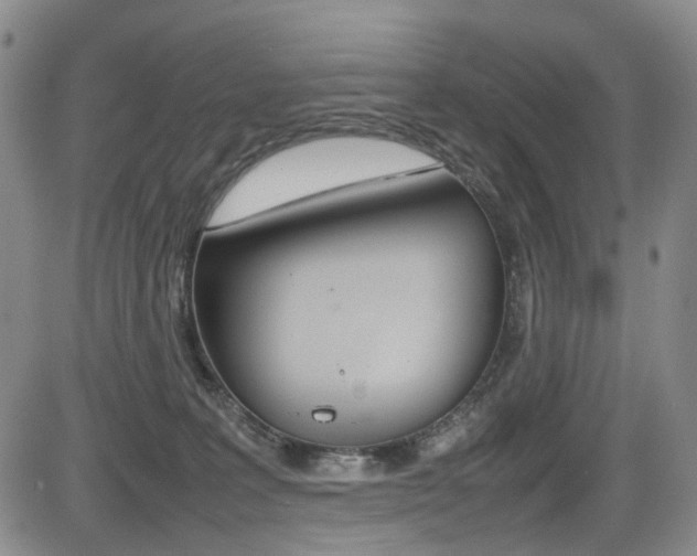 X0000085830227200703161038