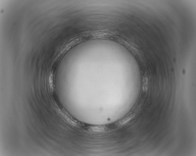 X0000085830238200703161038