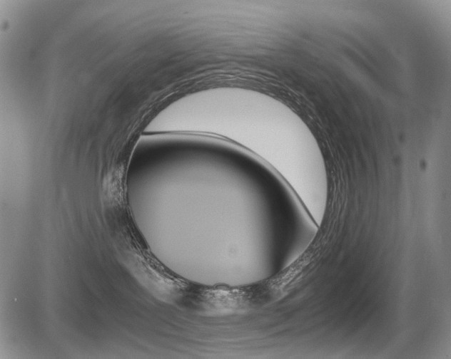 X0000085830239200703161038