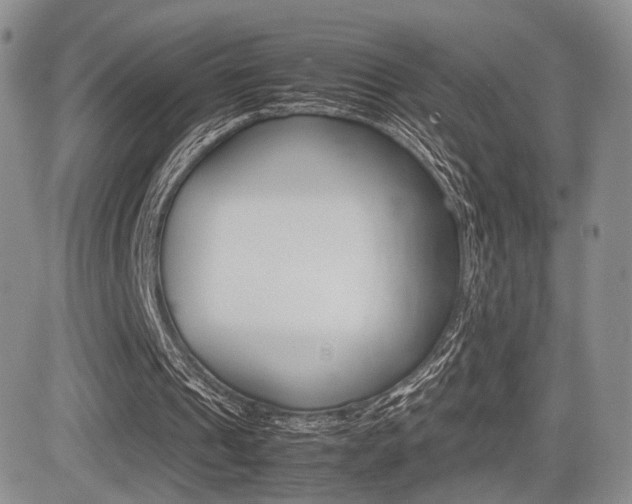 X0000085830241200703161037