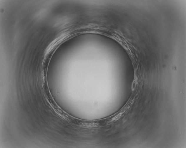 X0000085830245200703161037