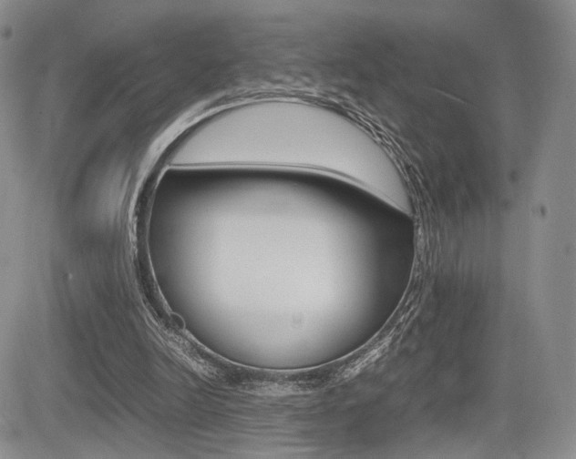 X0000085830246200703161037
