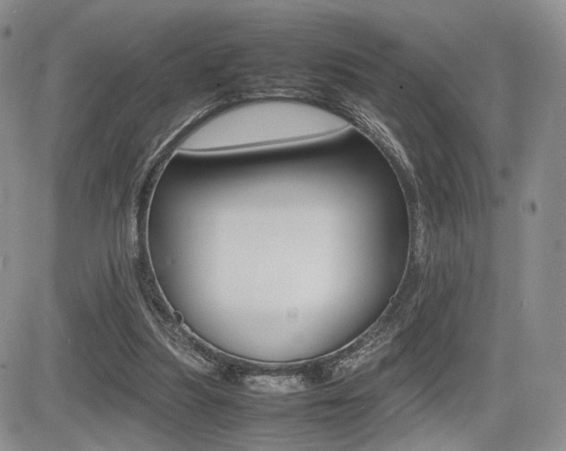 X0000085830251200703161037