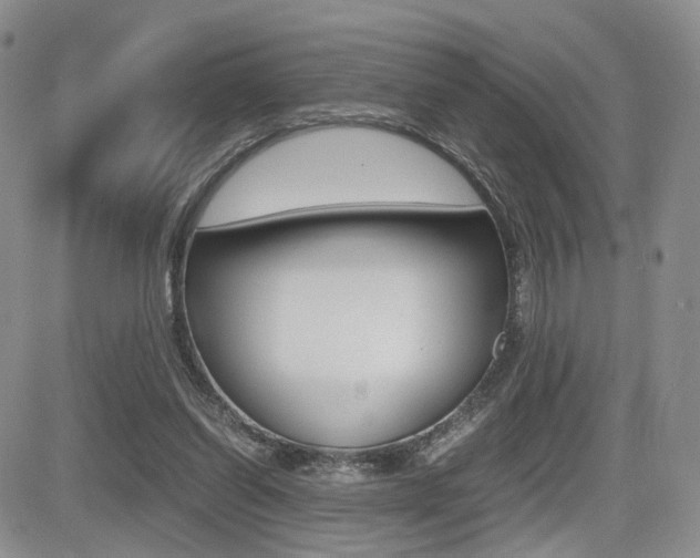 X0000085830254200703161037