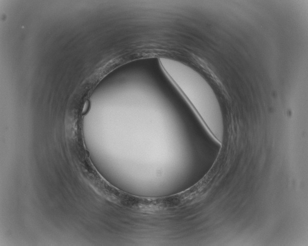X0000085830259200703161037