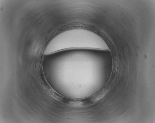 X0000085830266200703161037