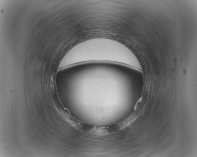 X0000085830280200703161037