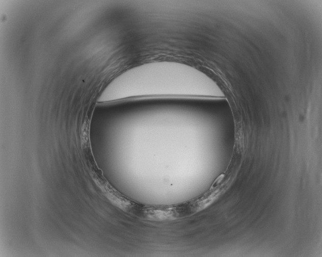 X0000085830285200703161038