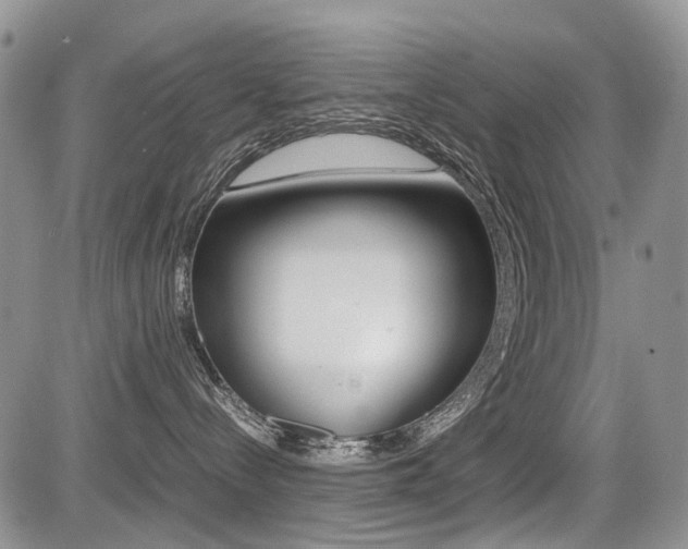 X0000085830288200703161038