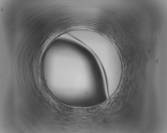 X0000085830289200703161037