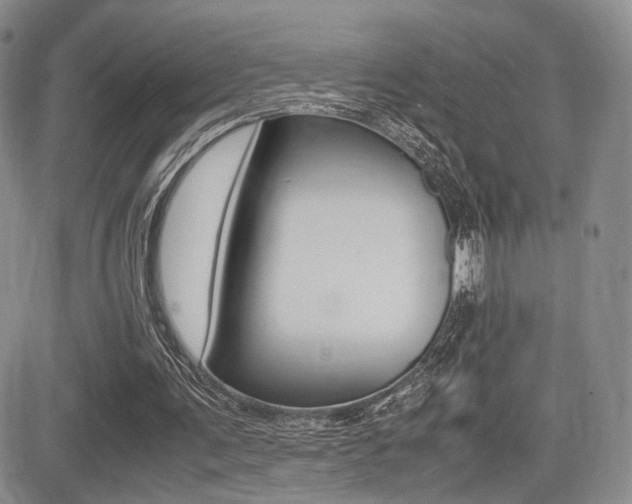X0000085830291200703161037