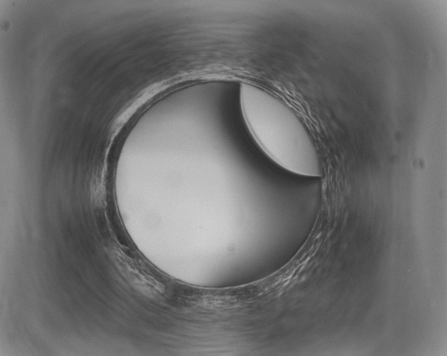 X0000085830292200703161037