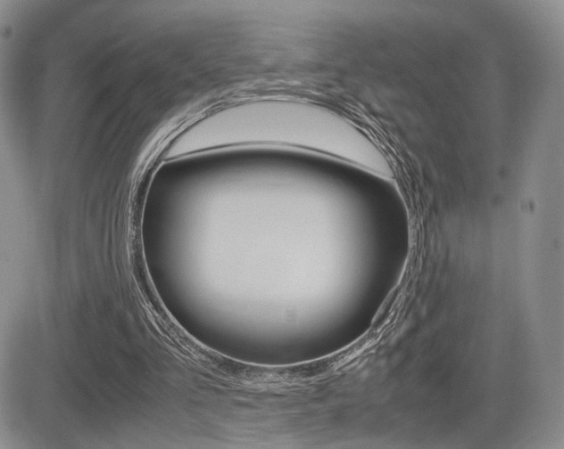 X0000085830293200703161037