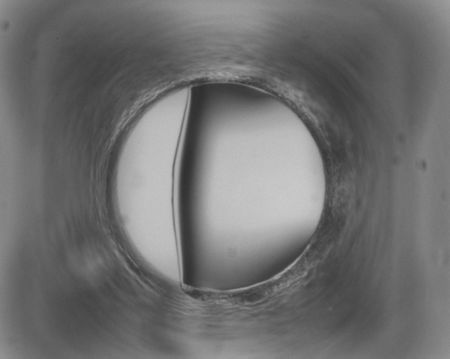 X0000085830299200703161037