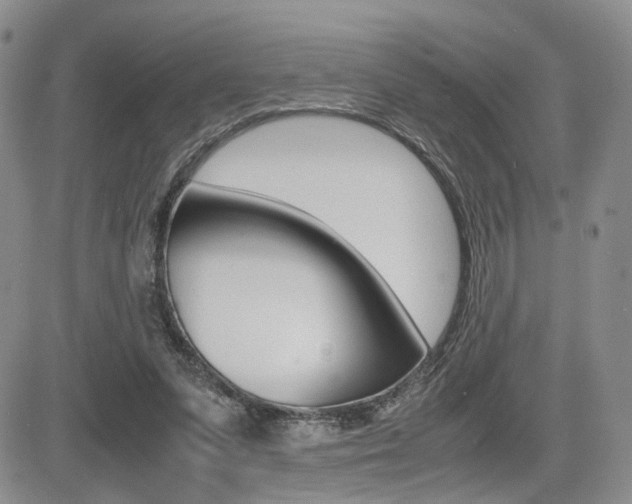 X0000085830303200703161037
