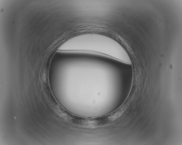 X0000085830313200703161036
